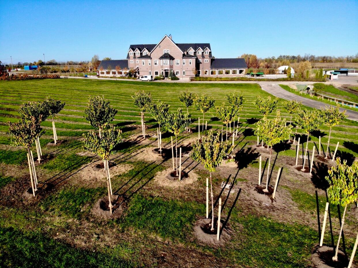 Долучись до акціїї «ПОСАДИ  ІМЕННЕ ДЕРЕВО» у Добропарку