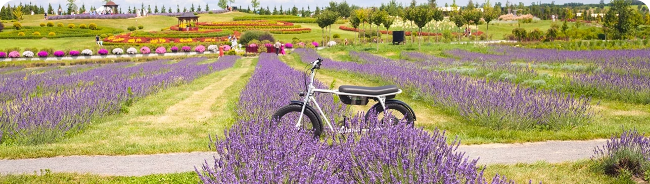 Оренда електротранспорту