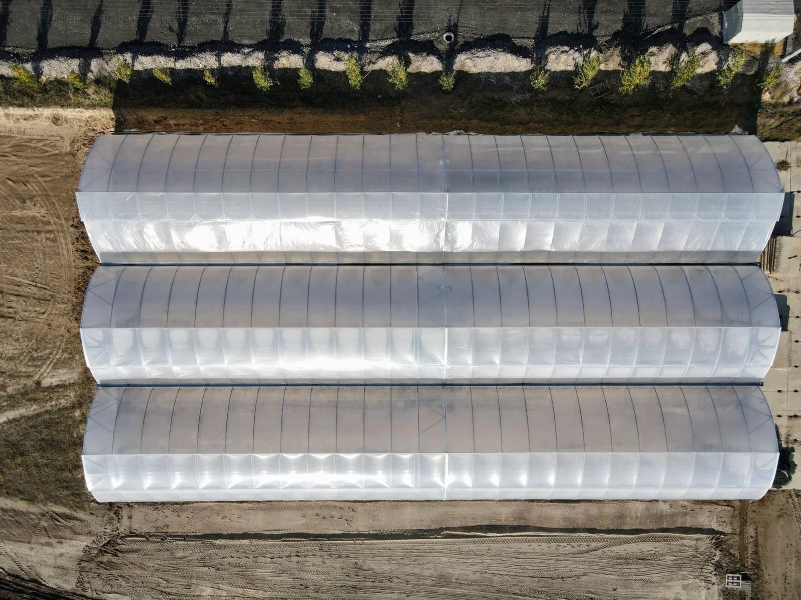 Новий тепличний комплекс у Добропарку