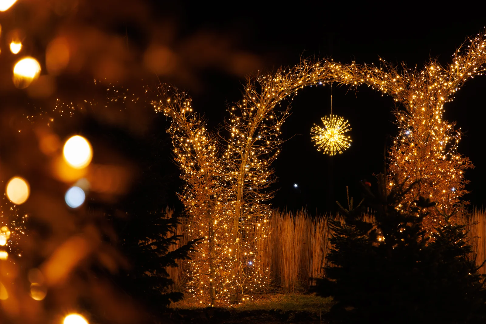 Зимовий сезон 2025