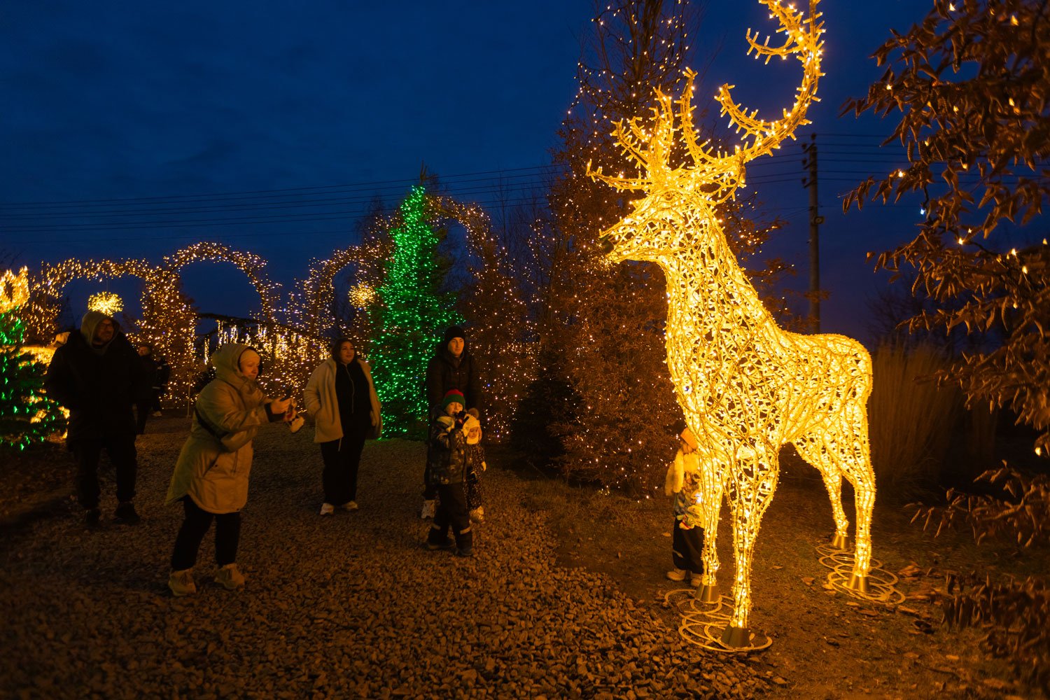 Атріум з ялинками та оленями