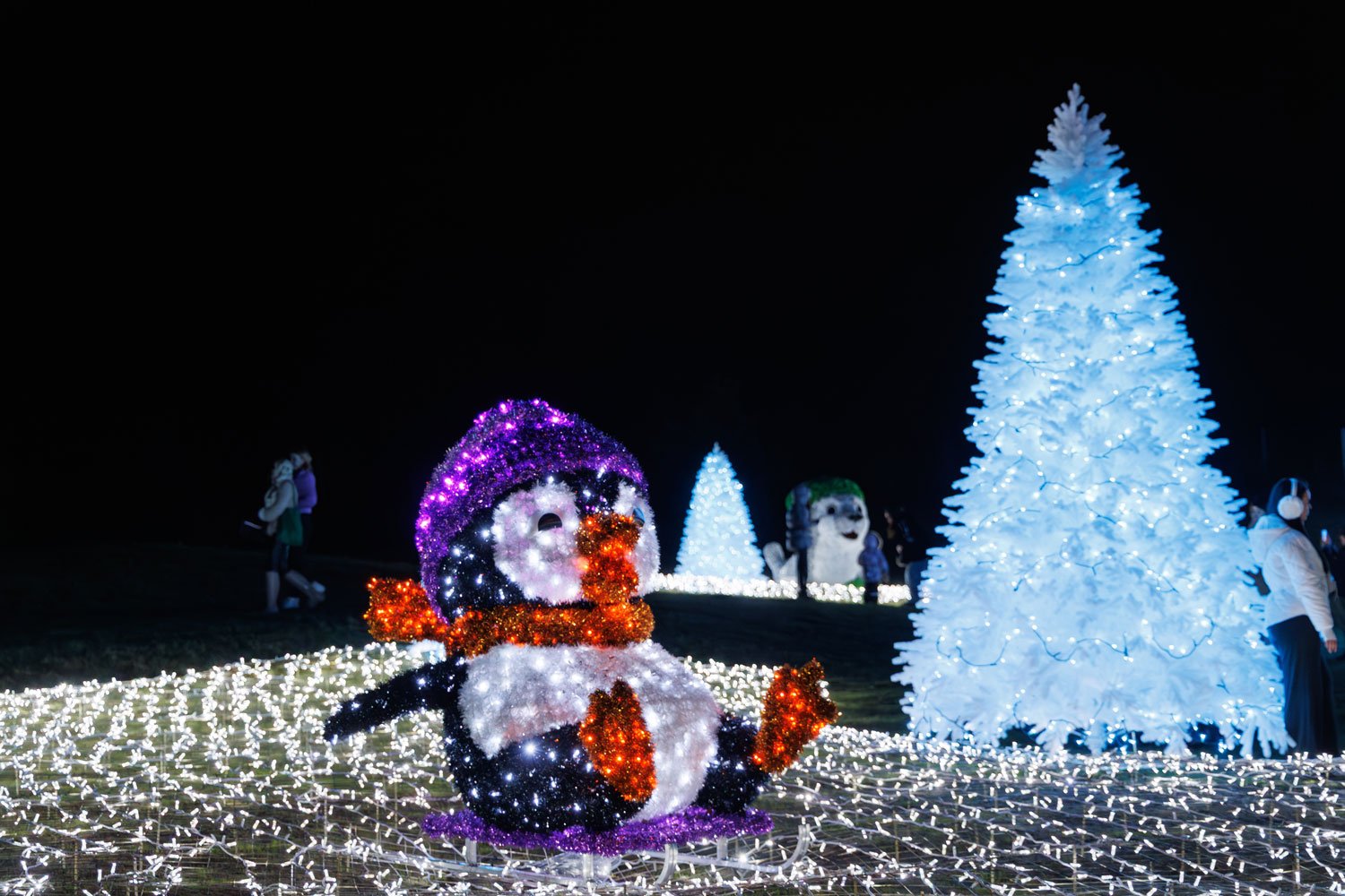 Ice Land — пінгвінчики, тюлені у фігурних фотозонах, ялинки