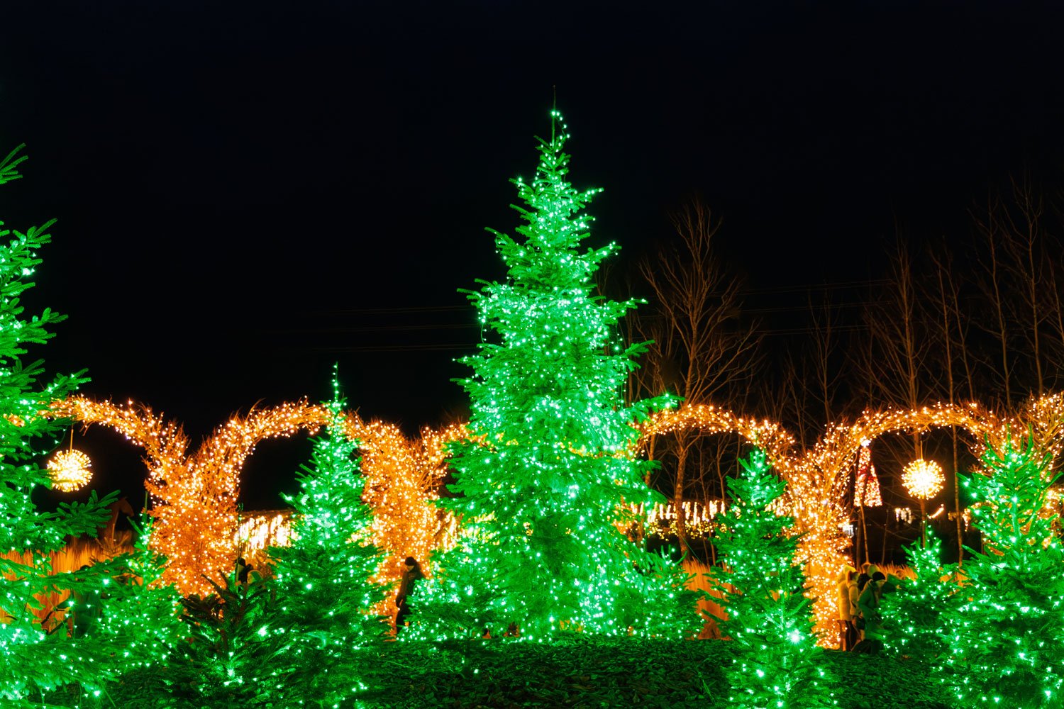 Атріум з ялинками та оленями