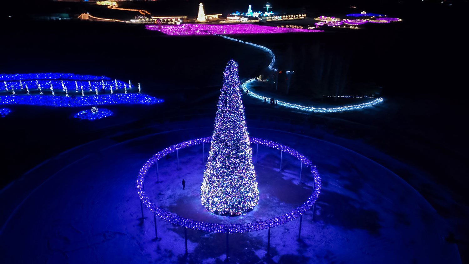 Головна ялинка парку «мультиколор»