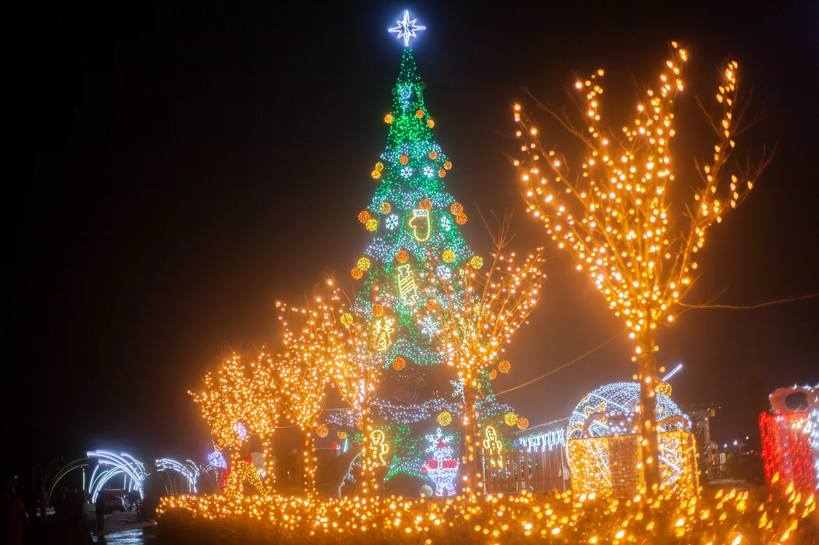 Головна ялинка Добропарку