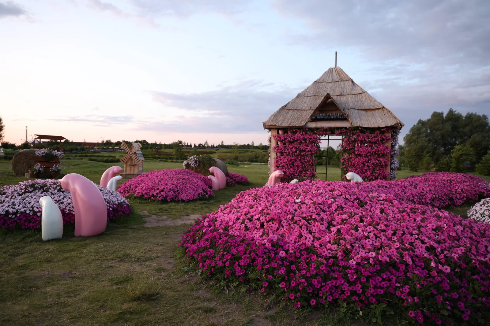 Будинок з петуніями